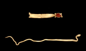 Gill snake & necklace