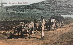 cryssa fullsizeoutput_f71