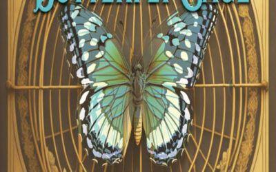Spotlight on The Butterfly Cage by Trish McEnulty – Delafield & Malloy Series