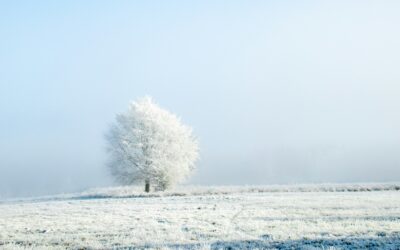 Christmas and Holiday Greetings to all my readers